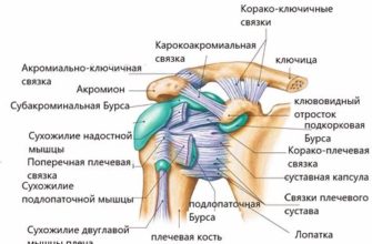 Причины и лечение болей в коленных суставах и ногах