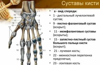 Как избавиться от боли в плечевом суставе - эффективные методы