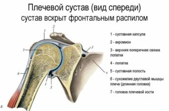 Причины и лечение боли при артрите локтевого сустава