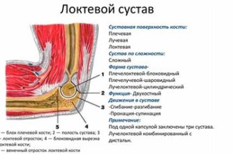 Почему болит левый плечевой сустав?