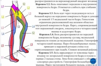 Причины и лечение болей в мышцах и суставах