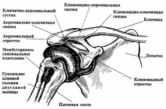 Ноги болят - причины и лечение боли в мышцах и суставах