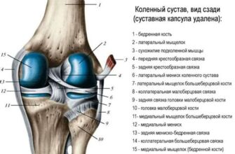 Причины и лечение боли в плечевом суставе после падения