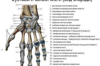 Причины боли в суставах левой ноги