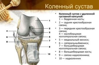 Выбирайте лучшую мазь от болей в суставах