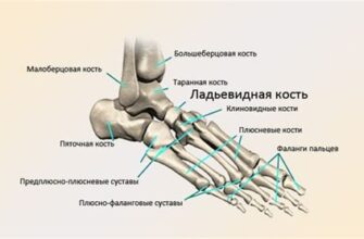 Причины и лечение боли в задней части коленного сустава