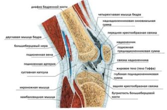 Длительная боль в коленном суставе - причины и возможные решения